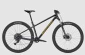 Tracker 290 Sport Essa 1x8 2027